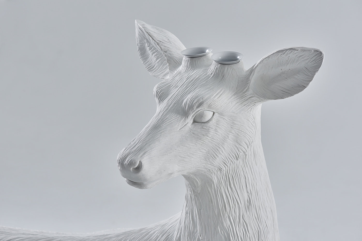 Creative lamps，lion，Lamp design，Creative products，pocket watch，clocks and watches，Hanging mirror，mirror，birds，Bird，Bionics Design ，white，Flowerpot design，Floral design ，deer，Sika deer，