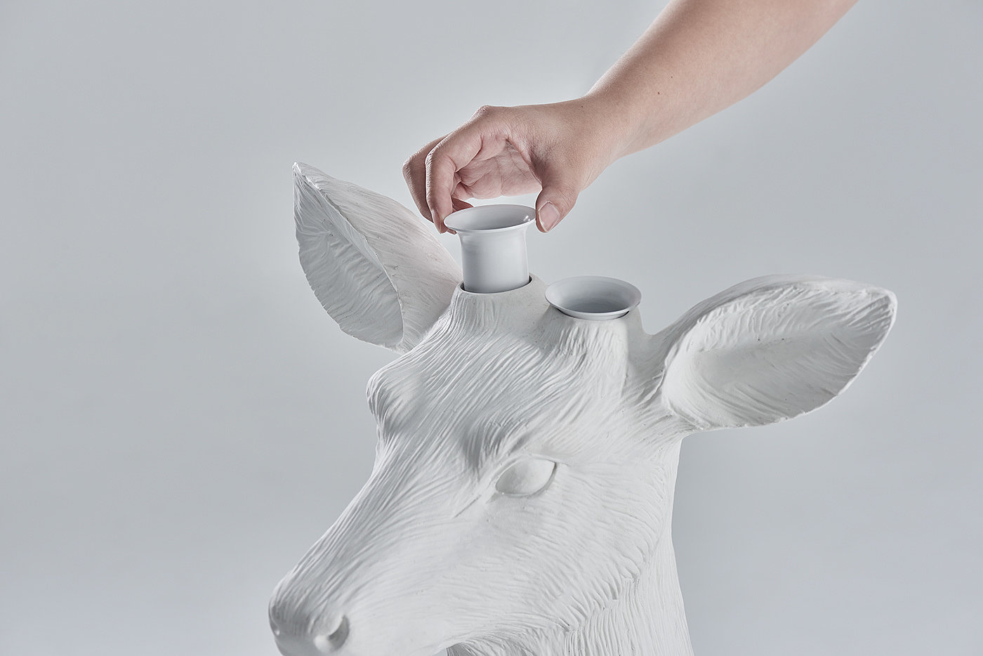 Creative lamps，lion，Lamp design，Creative products，pocket watch，clocks and watches，Hanging mirror，mirror，birds，Bird，Bionics Design ，white，Flowerpot design，Floral design ，deer，Sika deer，