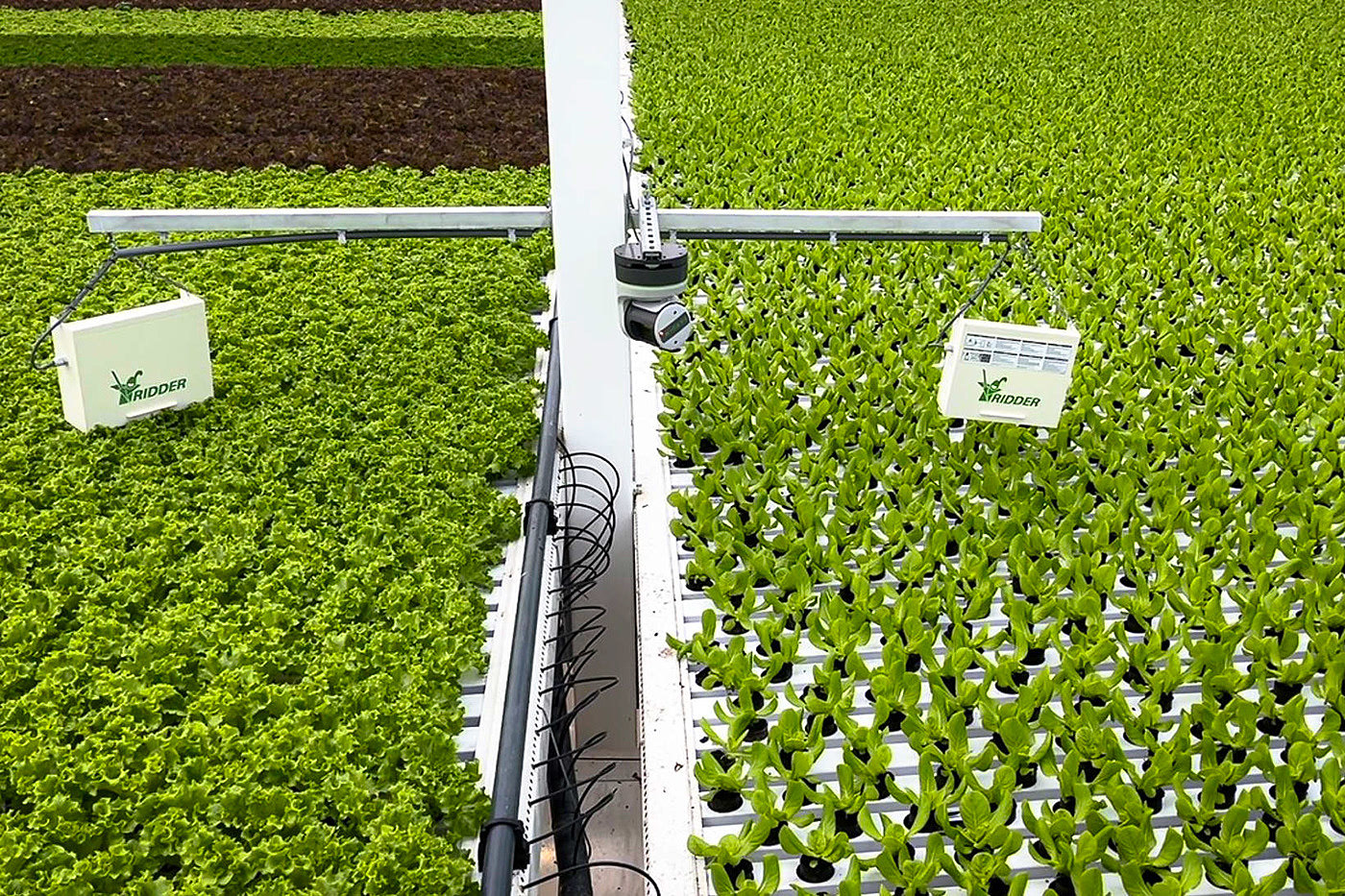 Gardin，Digital，intelligence，Cloud Crop Intelligent System，