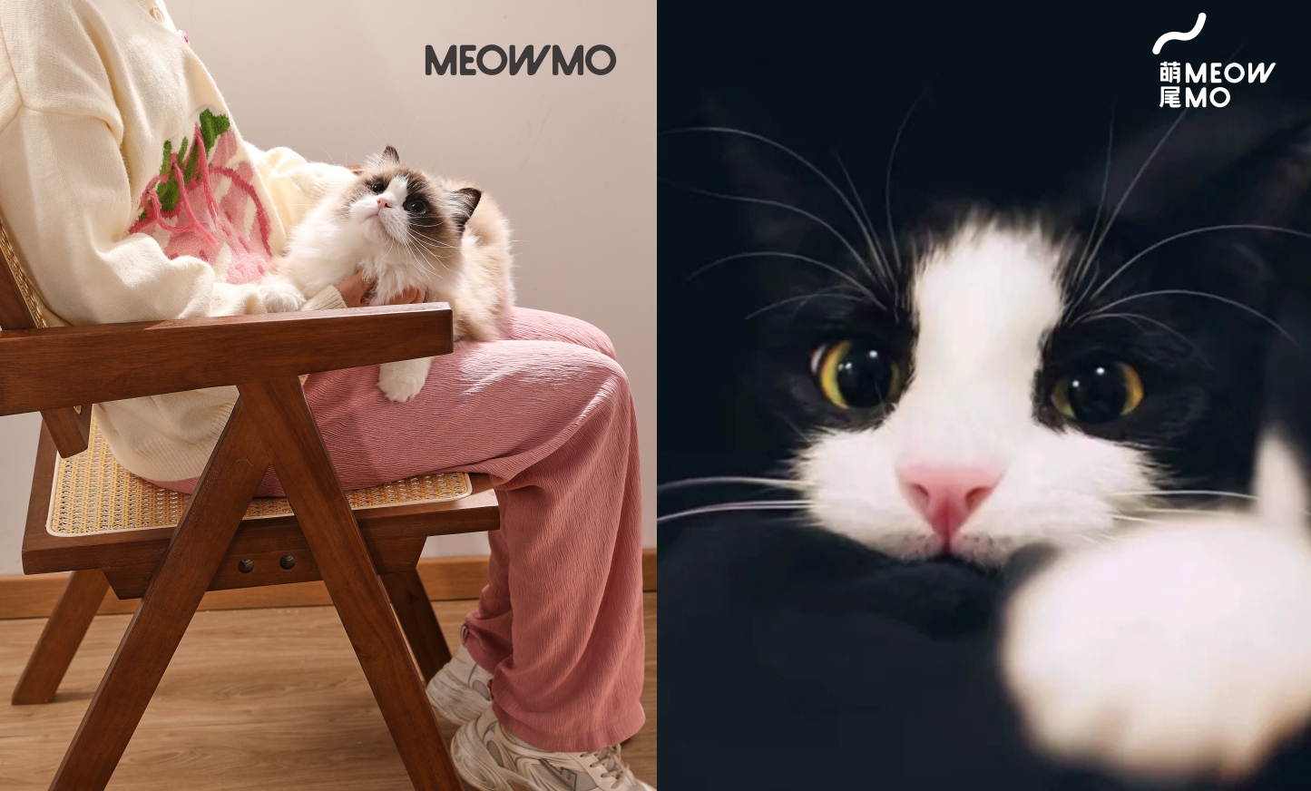 Pets，brand，idea，spread，vision，