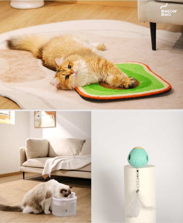 Pets，brand，idea，spread，vision，