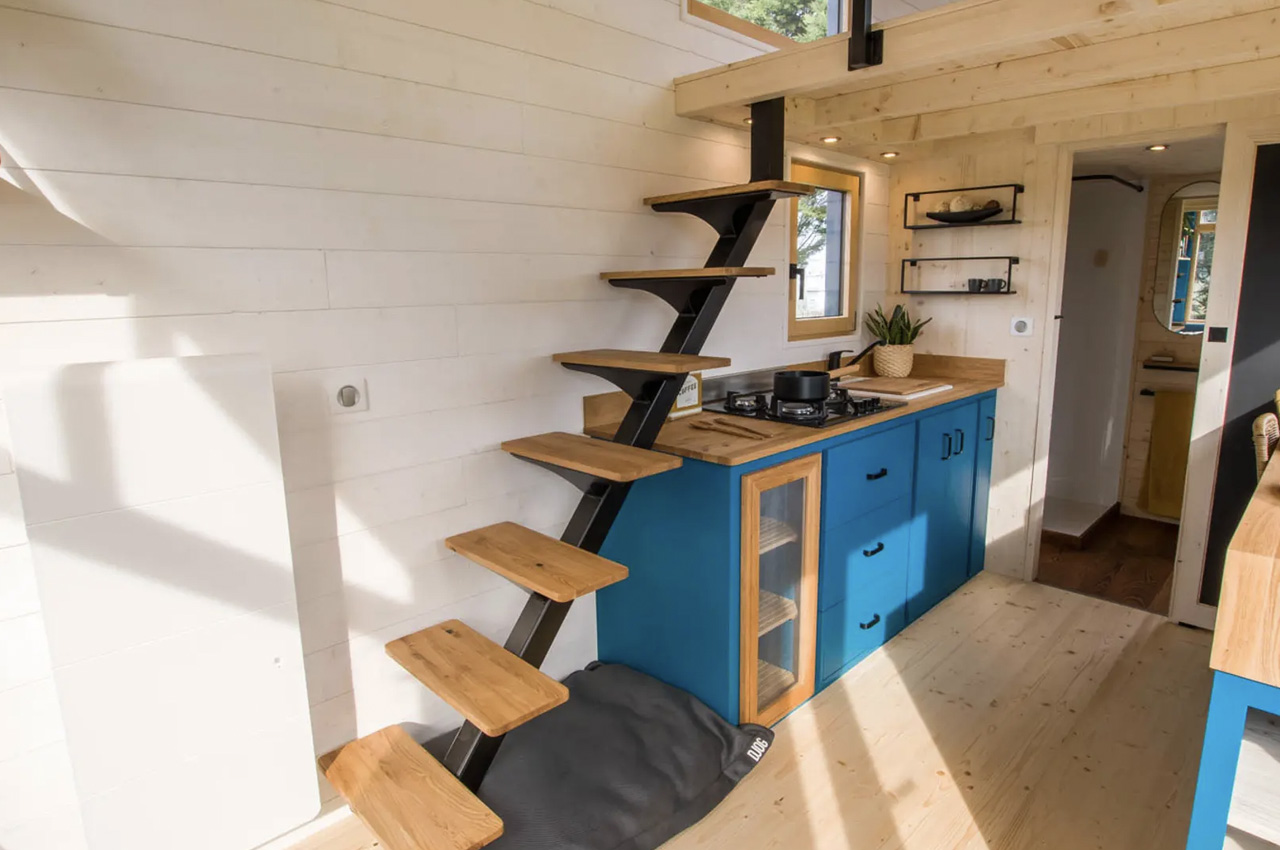 house，chicorÉe，residence，