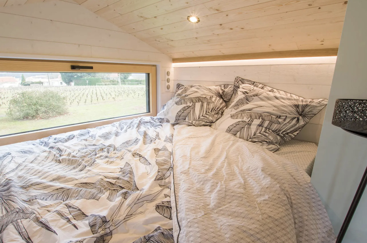 house，chicorÉe，residence，