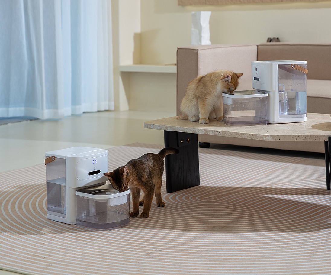 experience，Pets，intelligence，