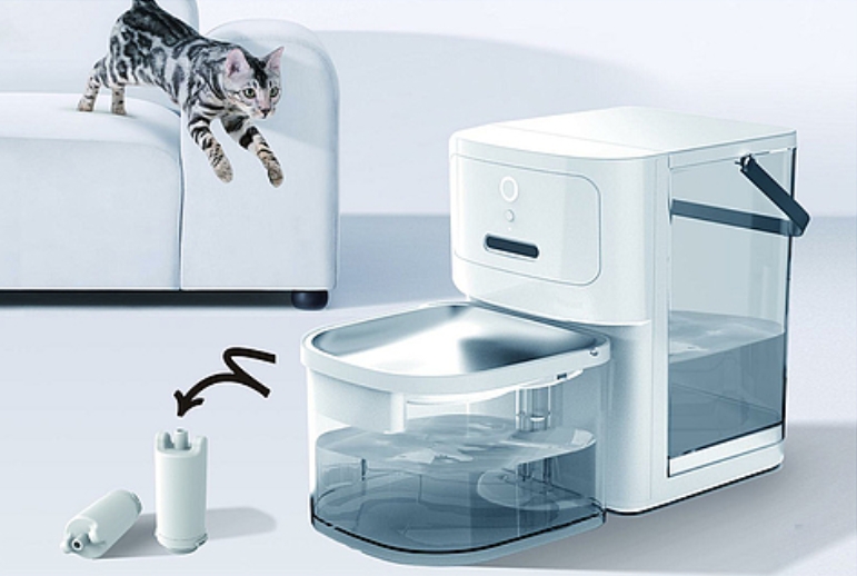 experience，Pets，intelligence，