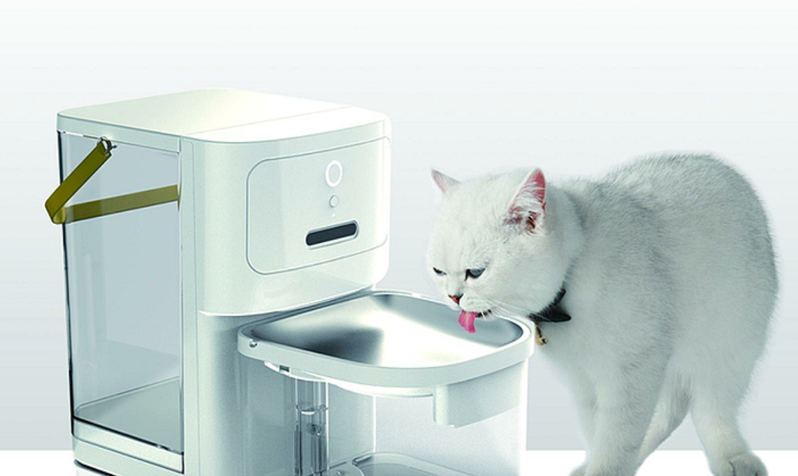 experience，Pets，intelligence，