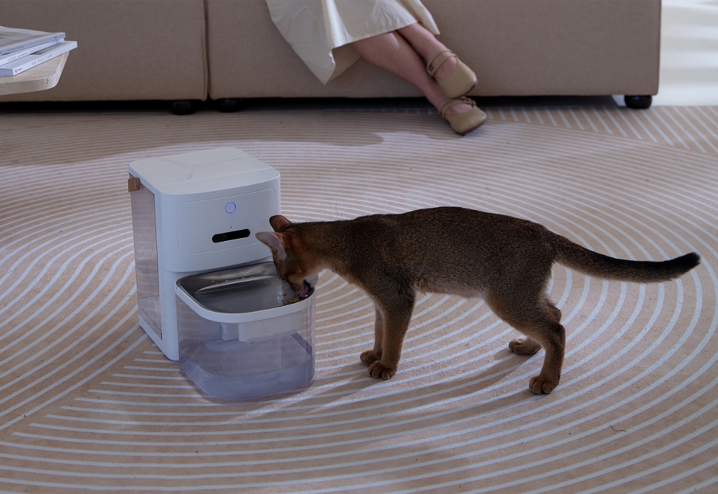 experience，Pets，intelligence，