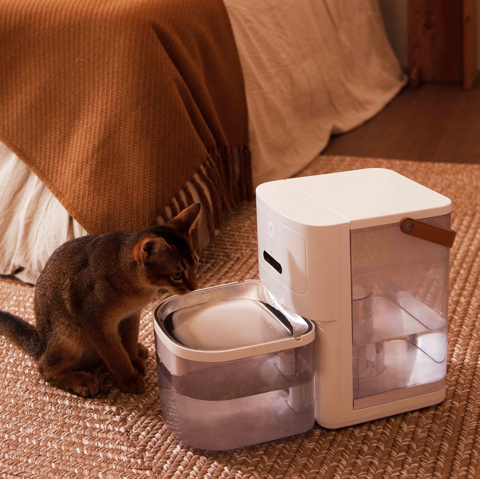 experience，Pets，intelligence，