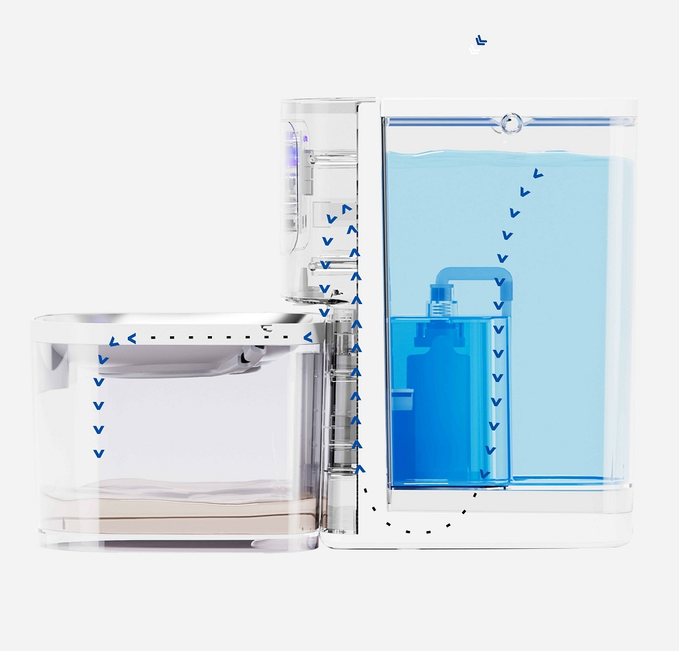 experience，Pets，intelligence，