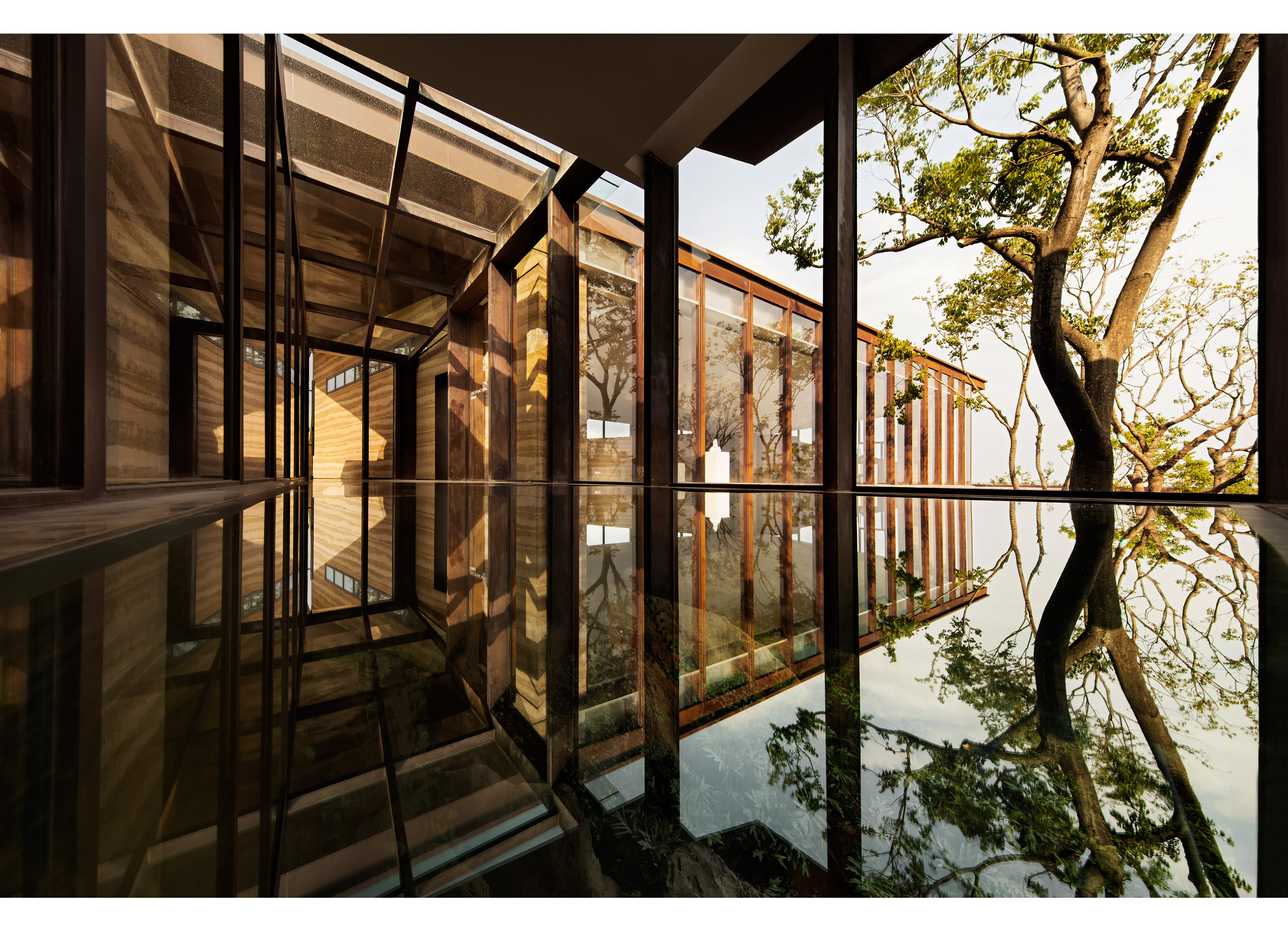 EARTH，sunlight，Forest，Shanhai，Art Museum，