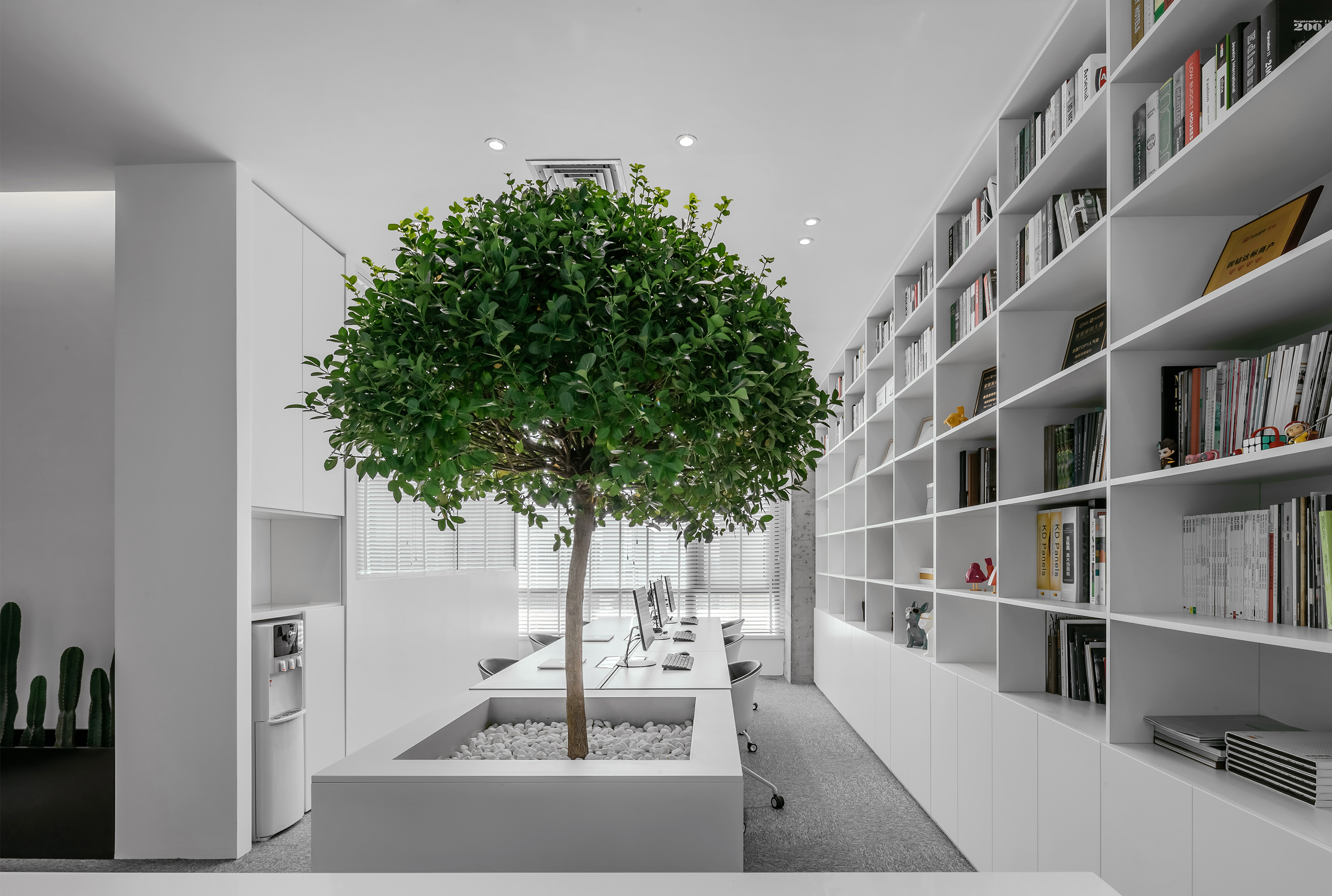 design，project，attention，Transform，office space，