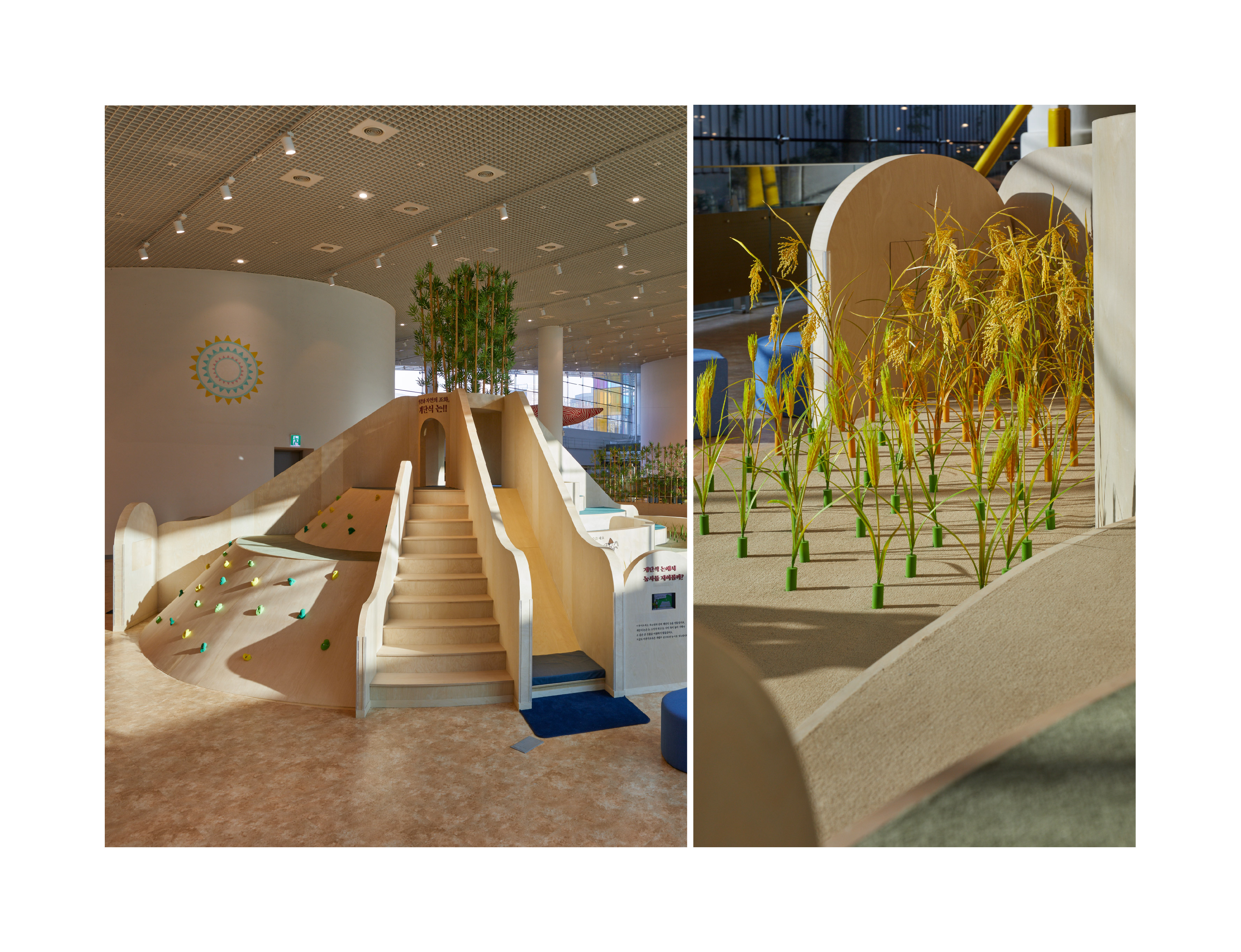 Center，Culture，space，design，symbol，