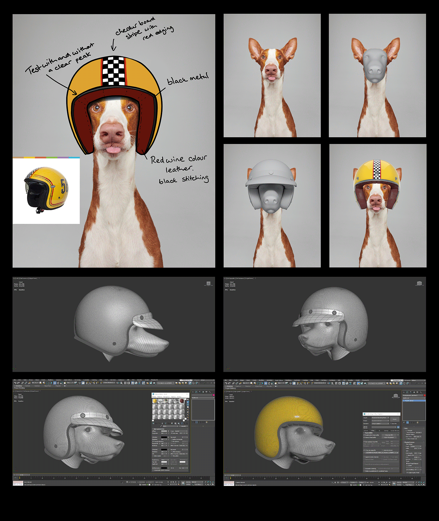 Fast & Curious，portrait，Pet Photography，