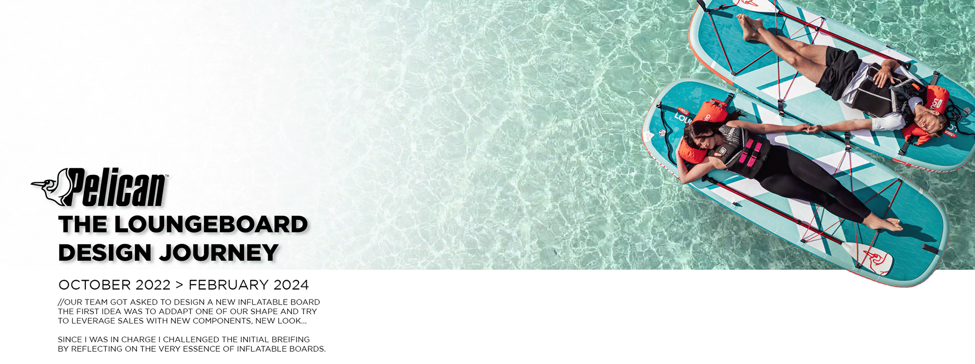 pelican，leisure time，Surf board，