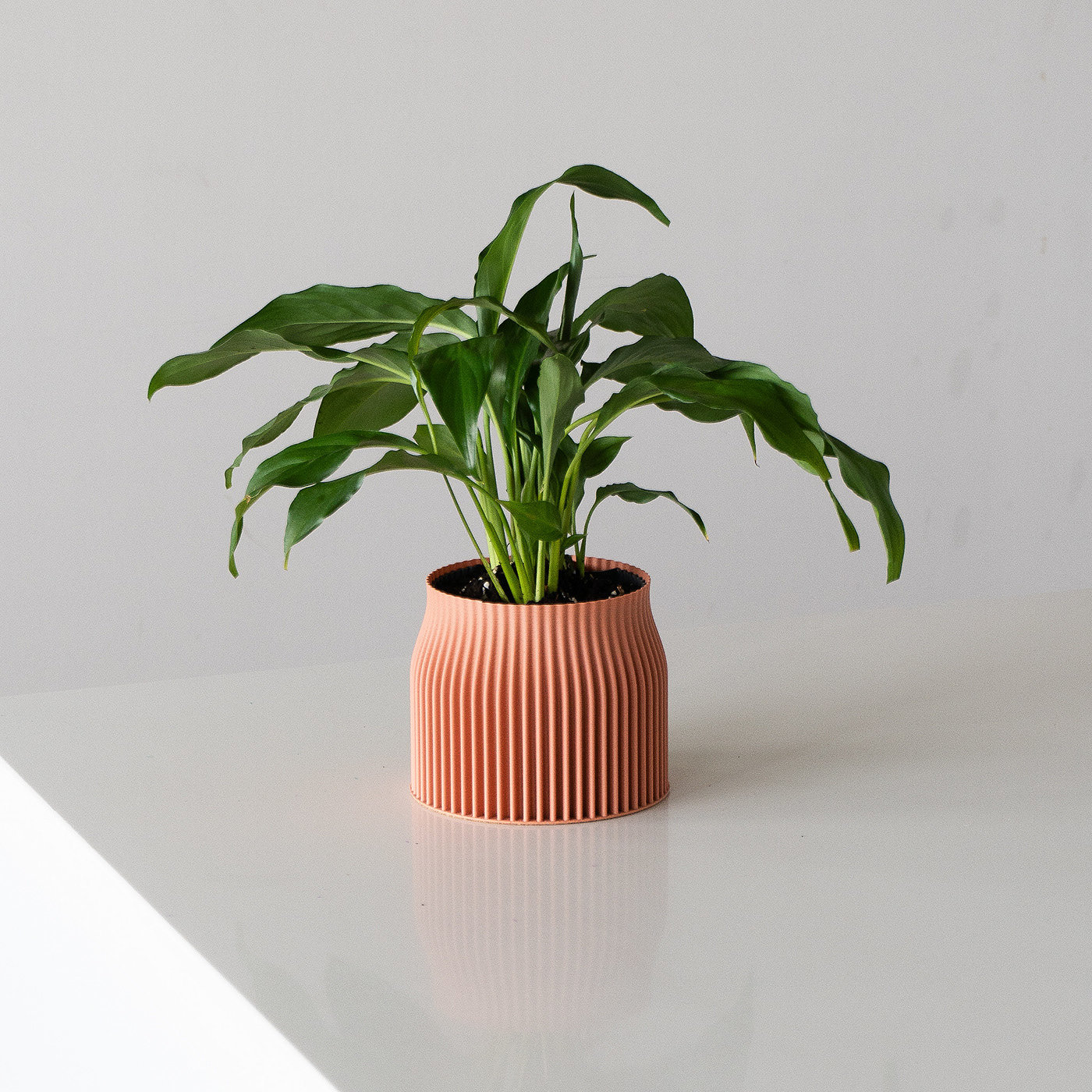 Spring，Flowerpot，3D printing，