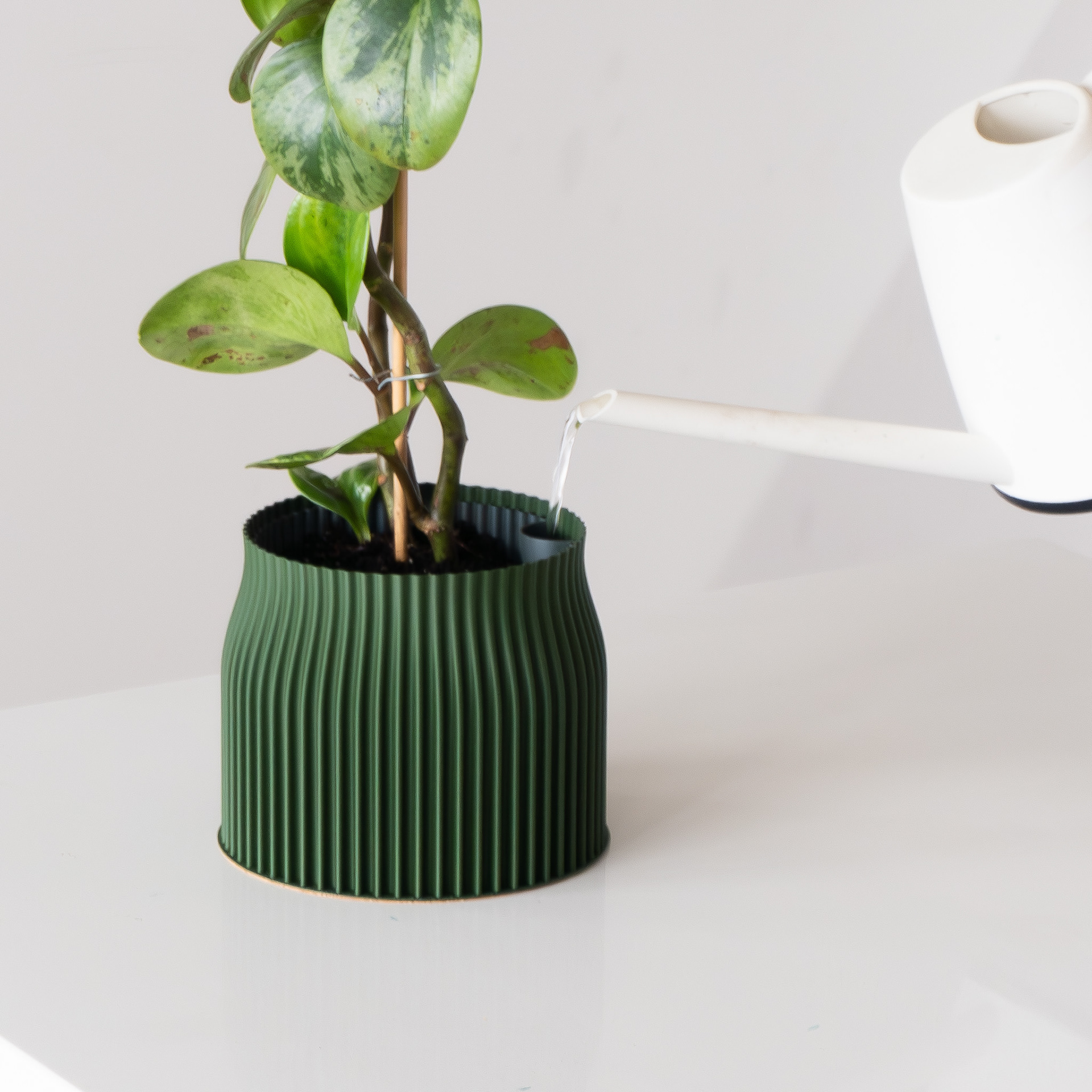 Spring，Flowerpot，3D printing，