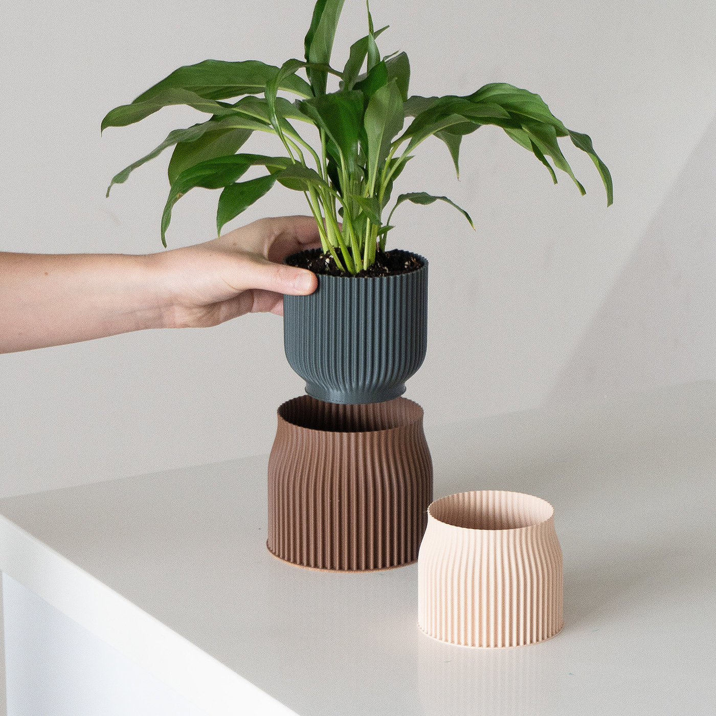 Spring，Flowerpot，3D printing，