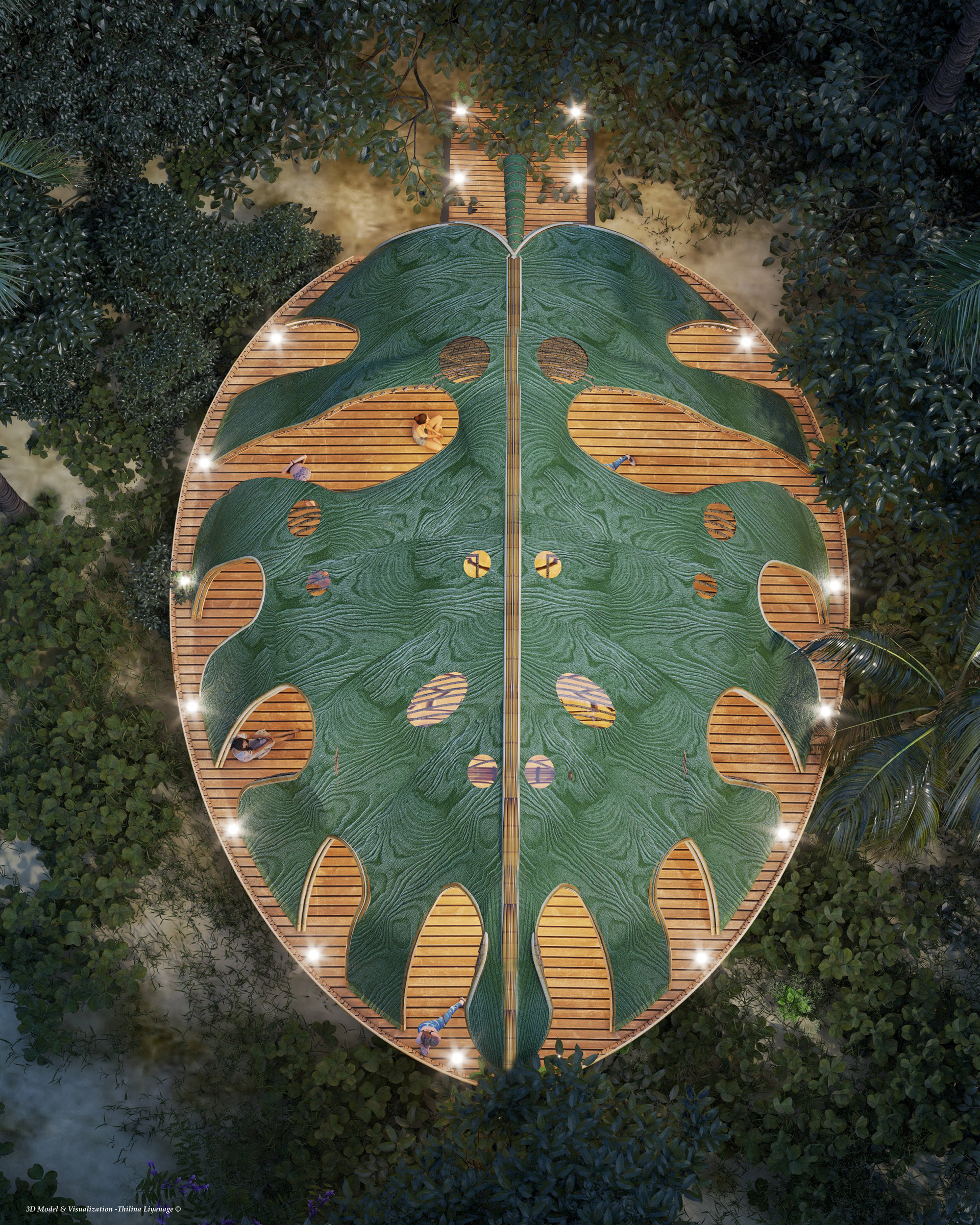 cactus，Yoga Studio，plant leaves，