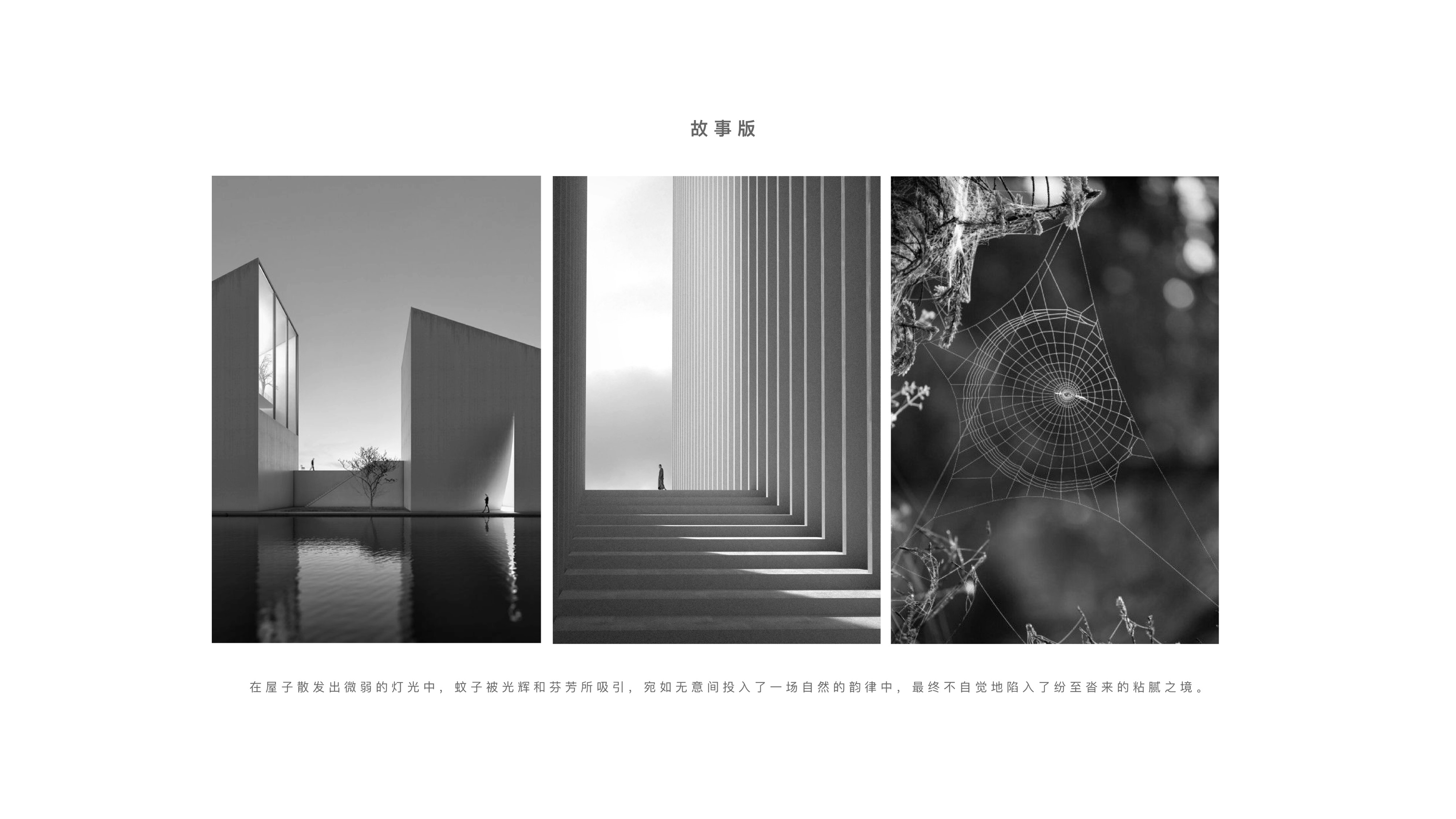 product design，Mosquito killing lamp，Keyshot rendering，sample reels，Postgraduate entrance examination，