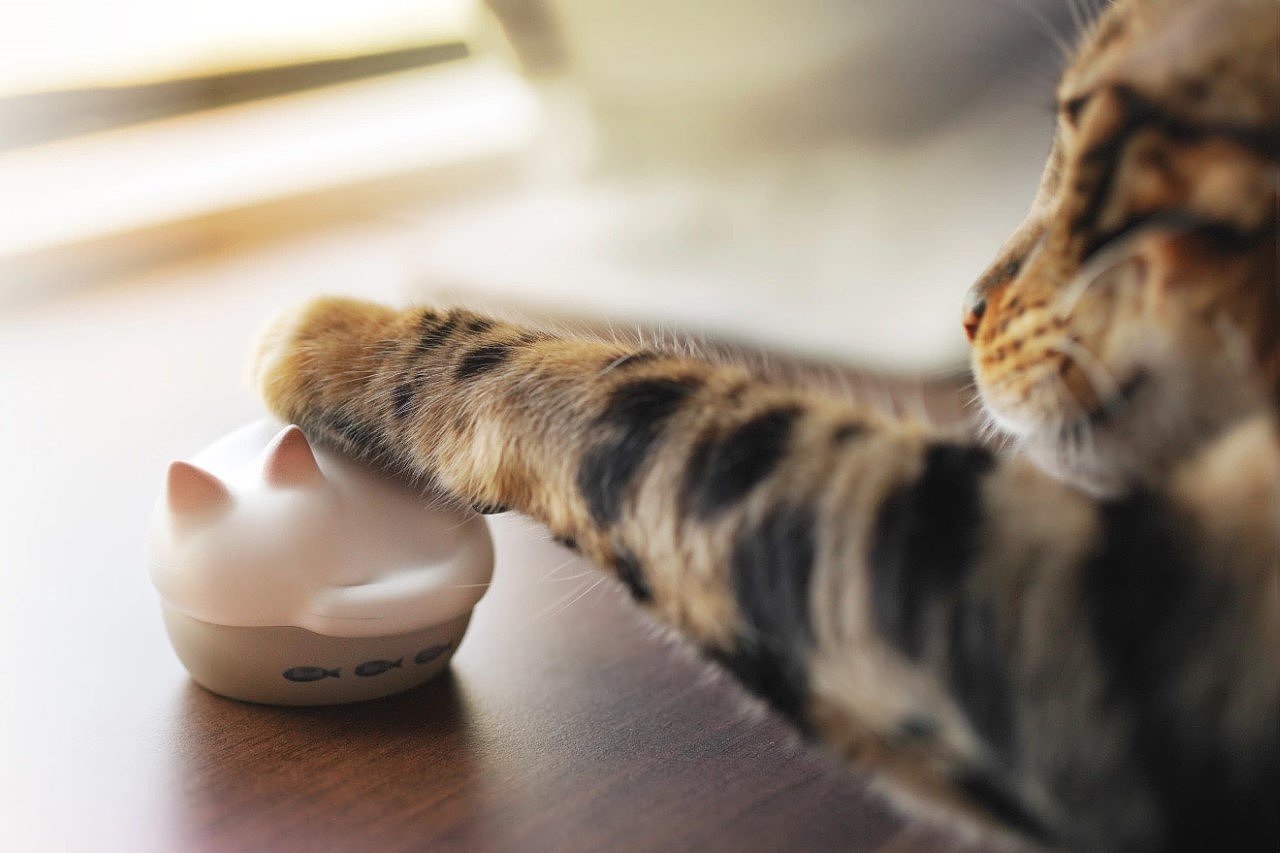 Sleeping Cat，tws，Earplug sleeve，