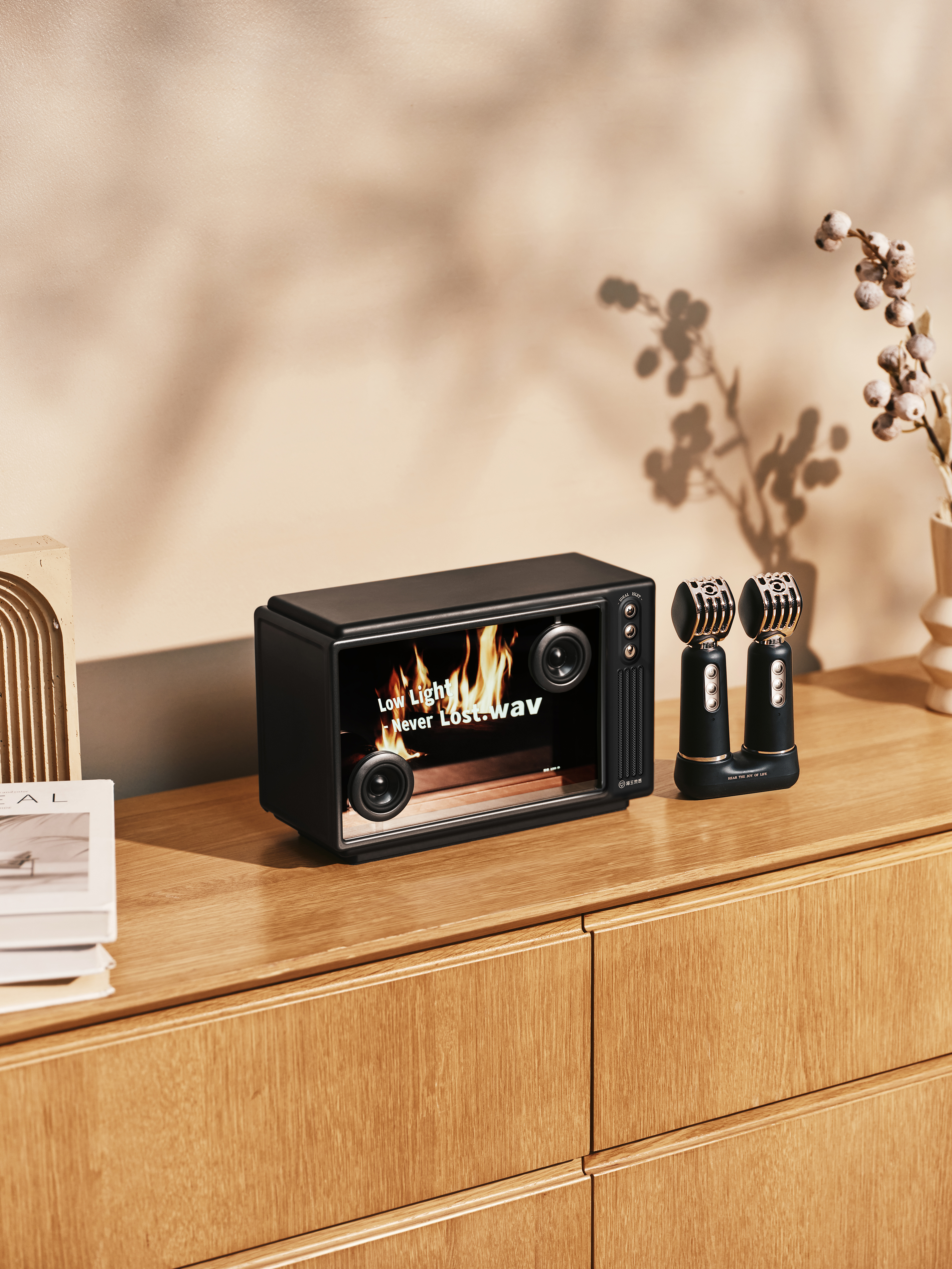 product design，industrial design，loudspeaker box，Lyrics sound，Microphone，Elvis stereo，