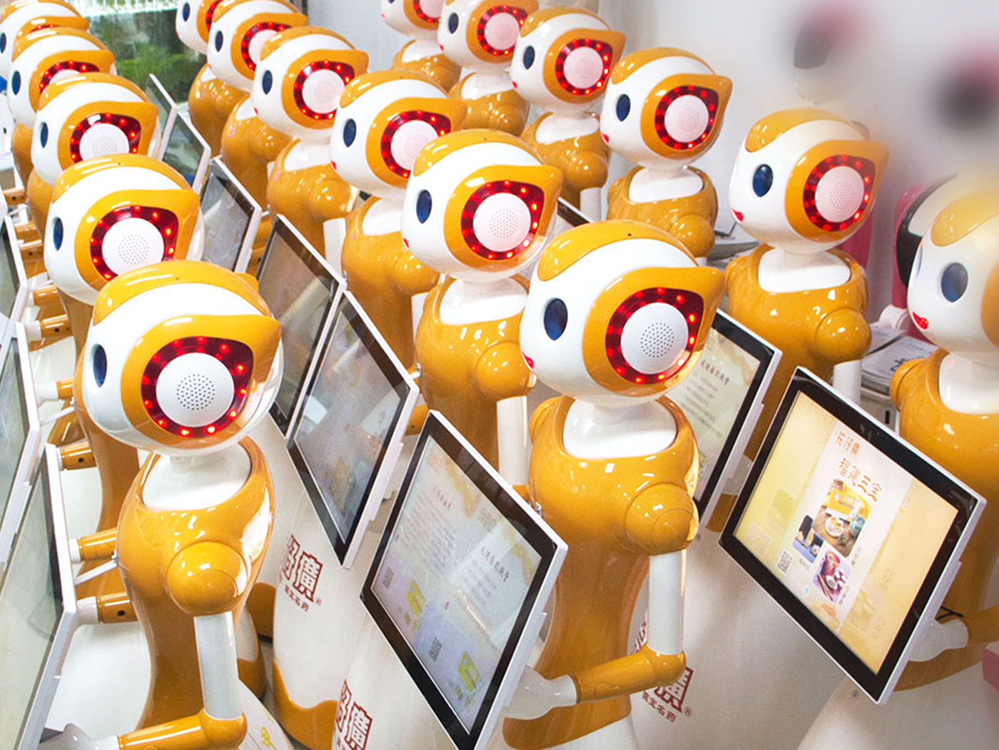 robot，Marketing robot，Service robot，