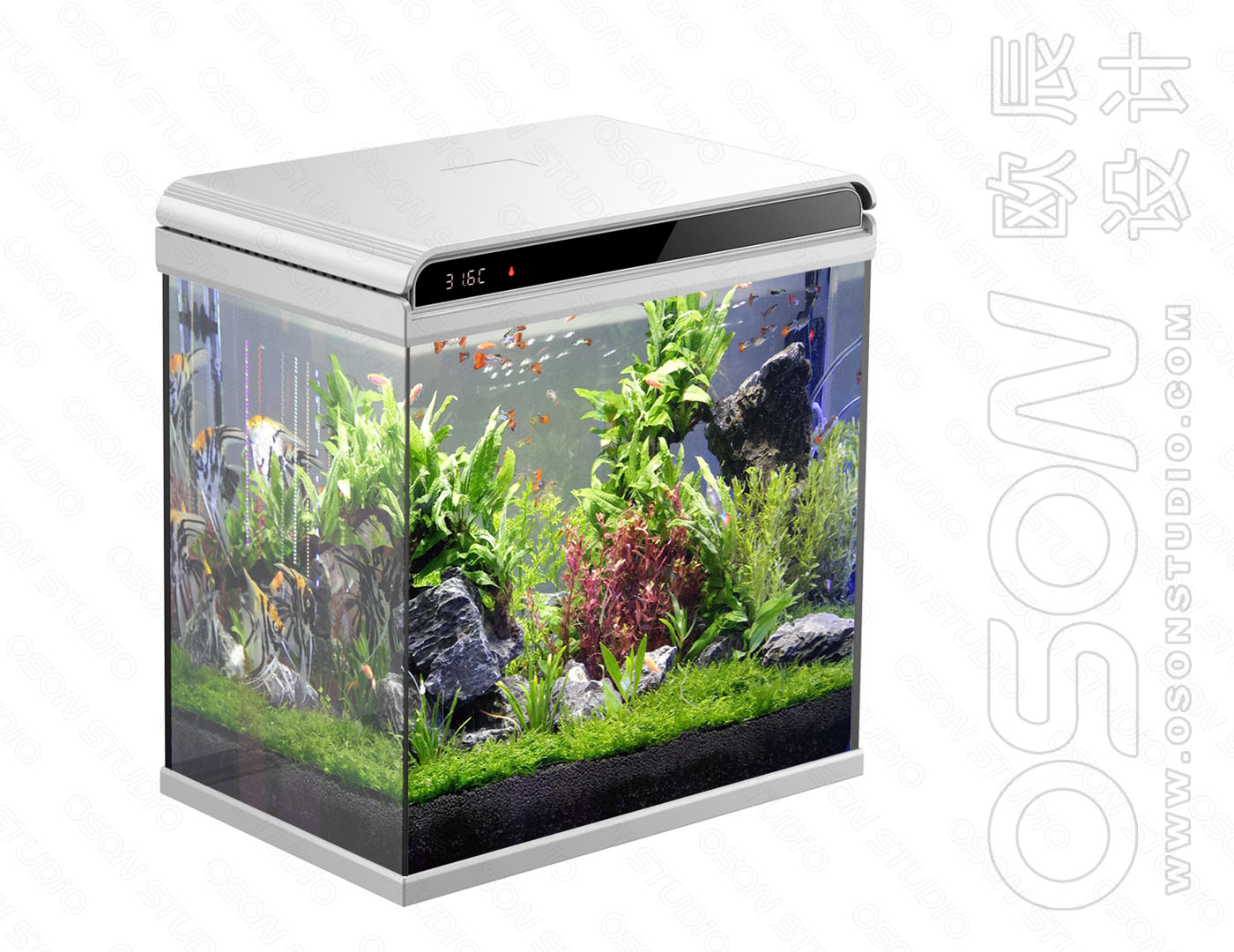 fish tank，Desktop fish tank，Ecological fish tank，Household fish tank，Fish tank design，industrial design，product design，Appearance design，