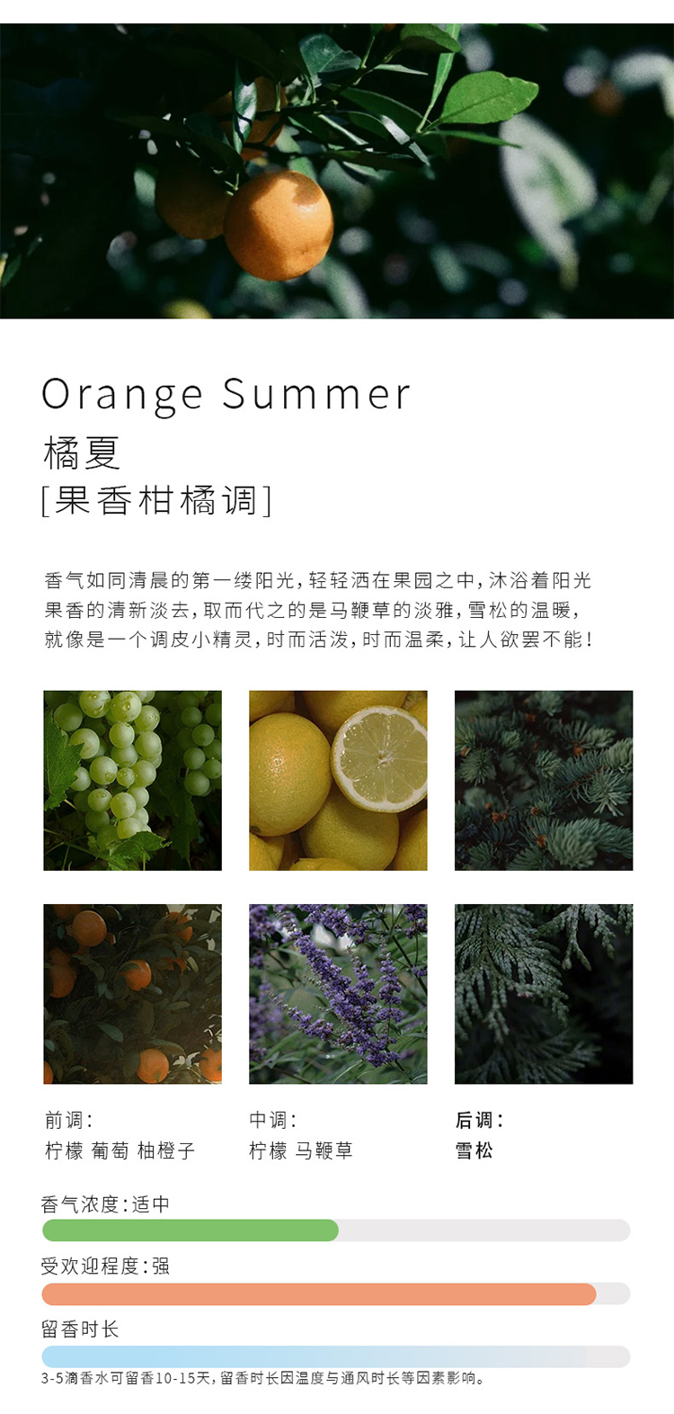 Home series，Flameless Aromatherapy，Suitable for multiple scenarios，Selection of Plant Extract Essential Oil，