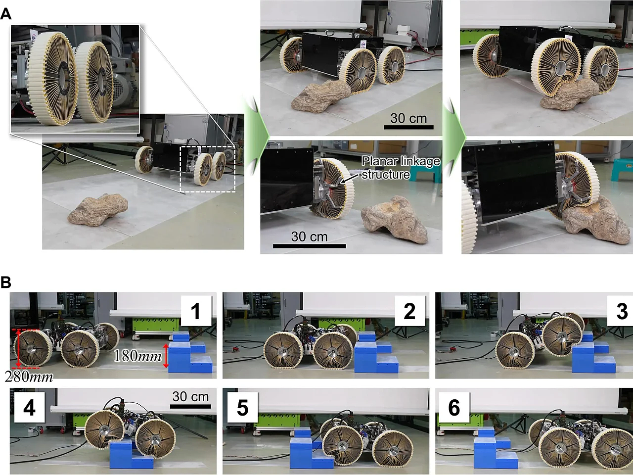 adaptability，Accessibility，Deformed tire，wheelchair，