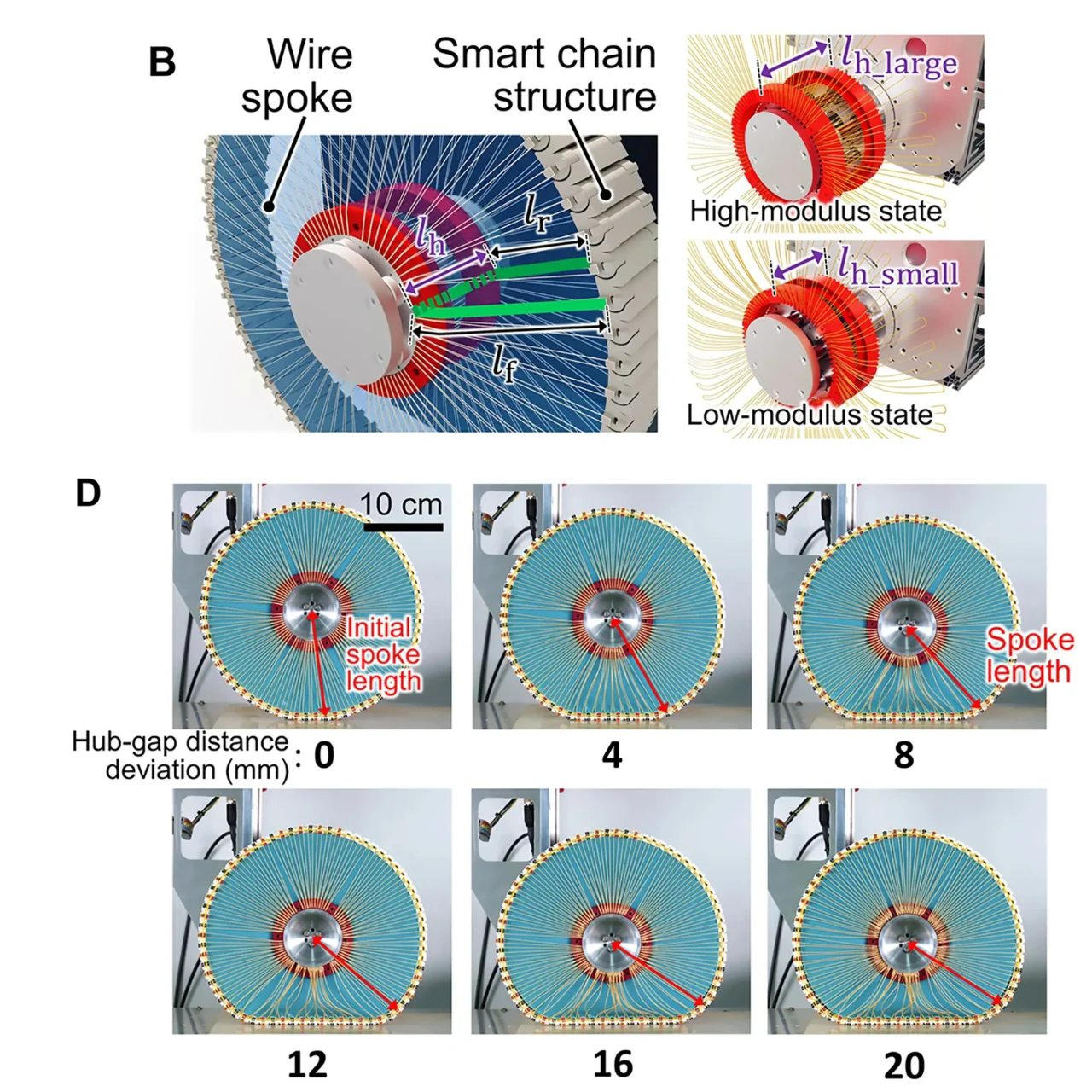 adaptability，Accessibility，Deformed tire，wheelchair，