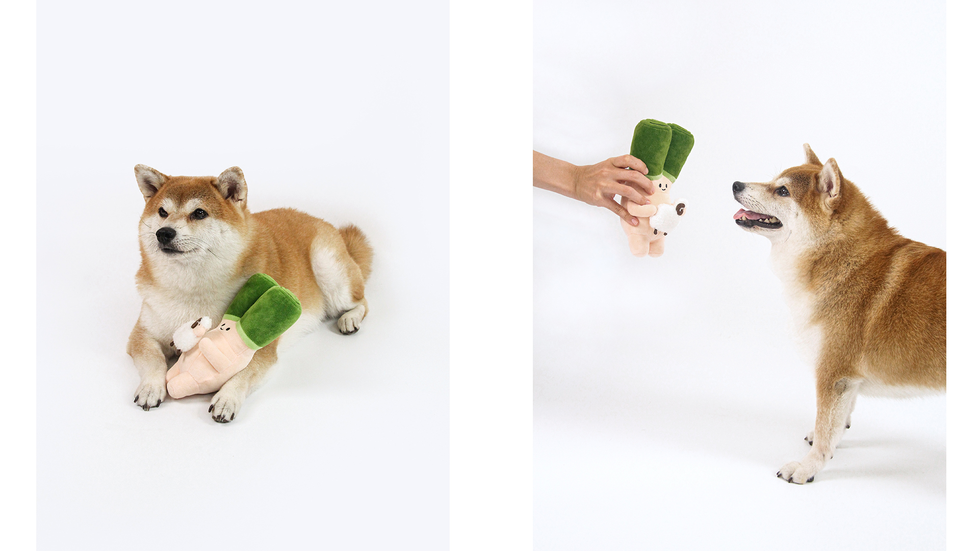 Illustration design，IP image design，Product appearance design，Art guidance，