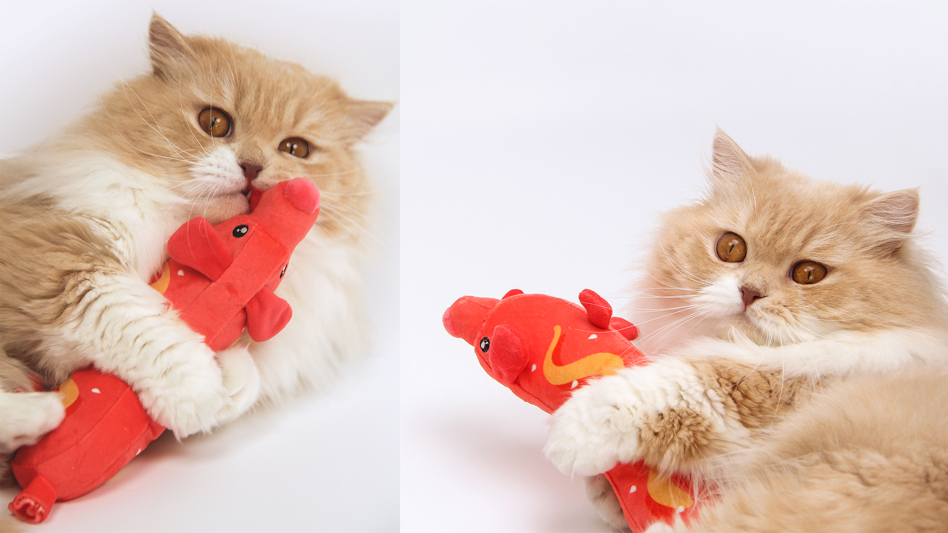 Illustration design，IP image design，Product appearance design，Art guidance，