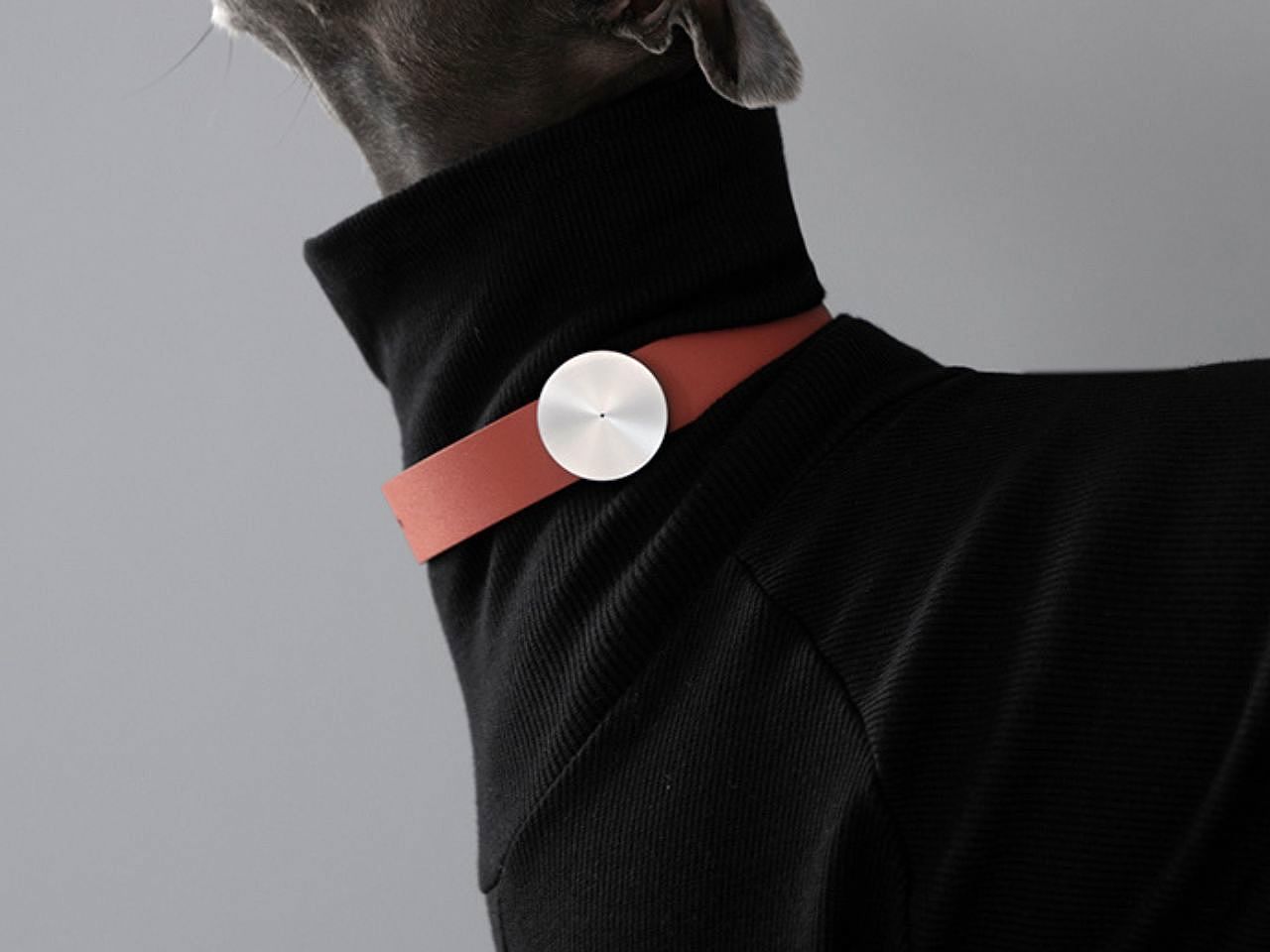 Smart collar，AI LifeTrack，GPS positioning，Health tracking，