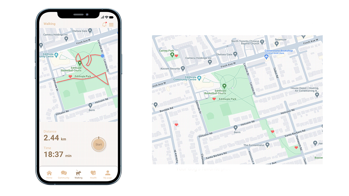 Pet Care，a collar for a horse，Scientific and technological innovation，life style，