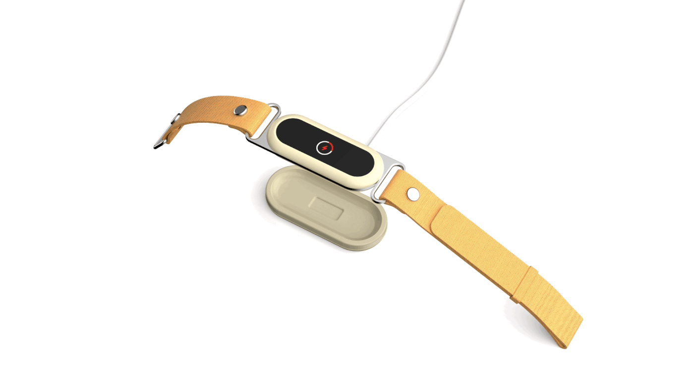 Pet Care，a collar for a horse，Scientific and technological innovation，life style，