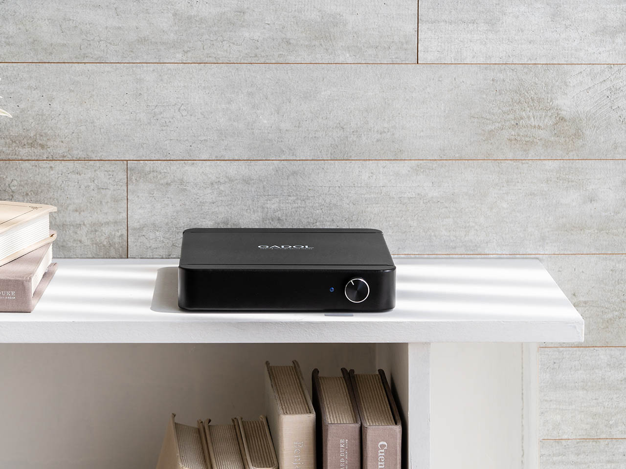 GADOL，cure，Focus Status，speaker，