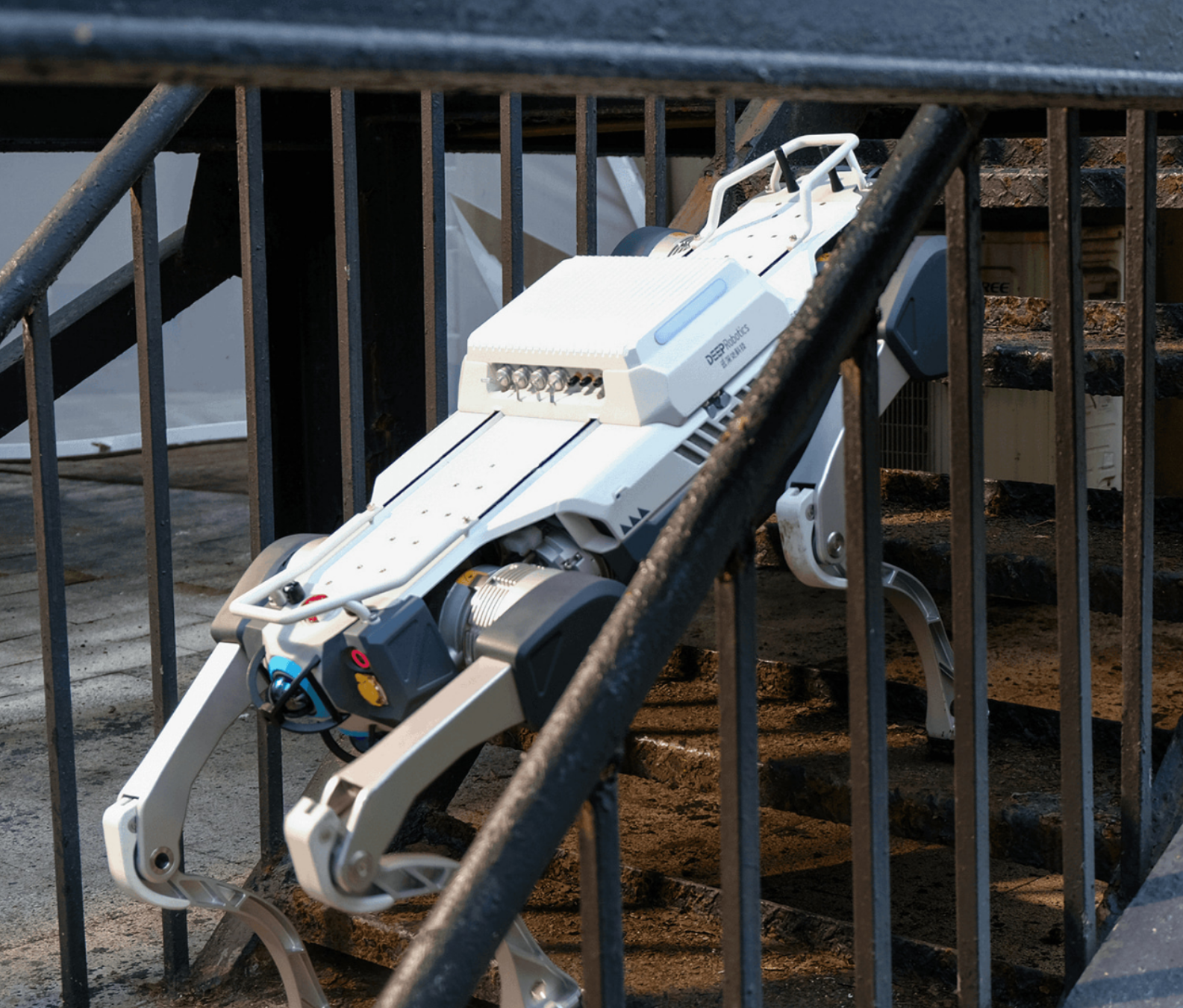 Good News | Trojan Horse Design Won Three "Shanghai Design 10"，