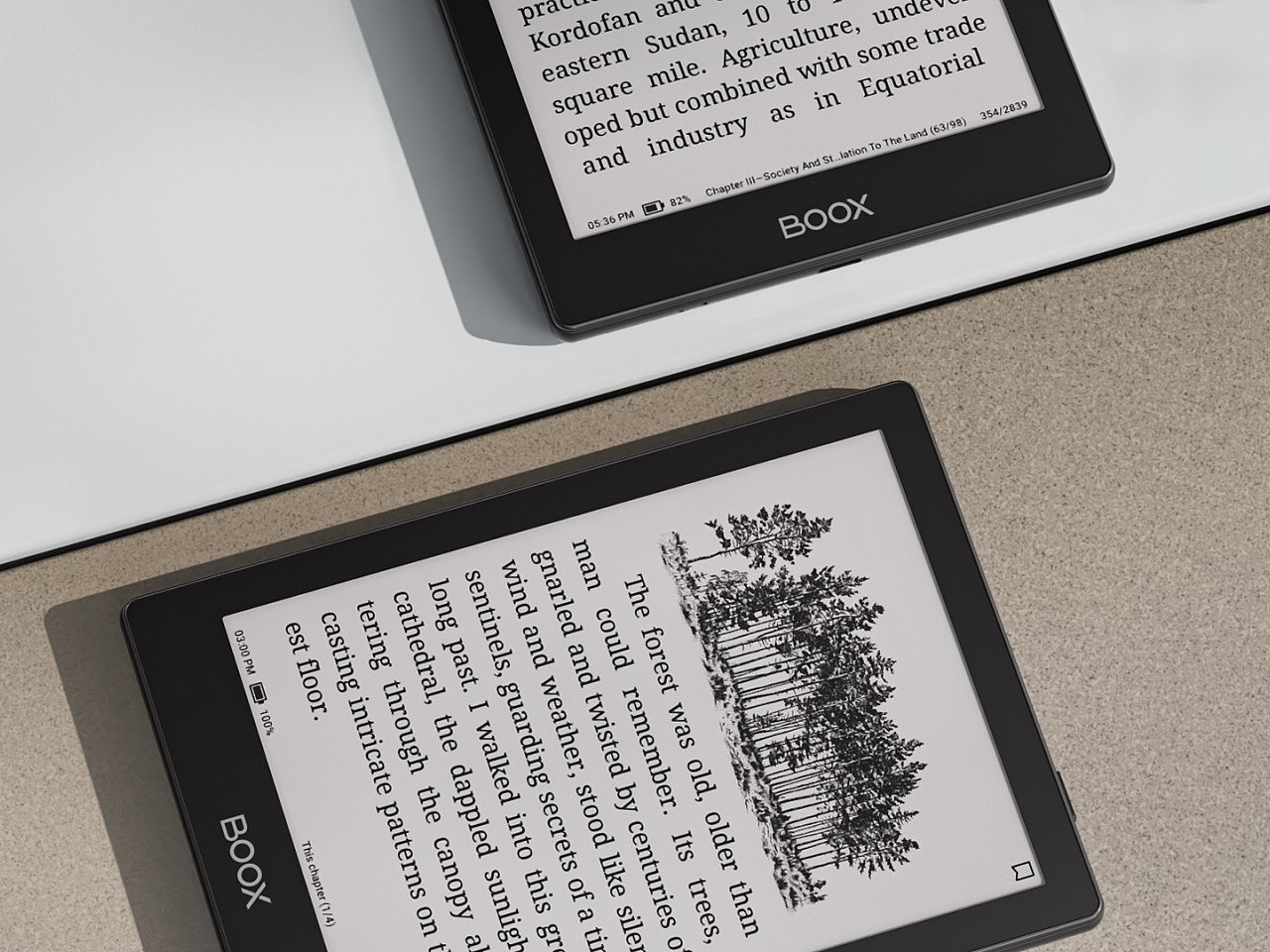 e-book，portable reading，Android 12，Onyx BOOX Go 6，eReader，