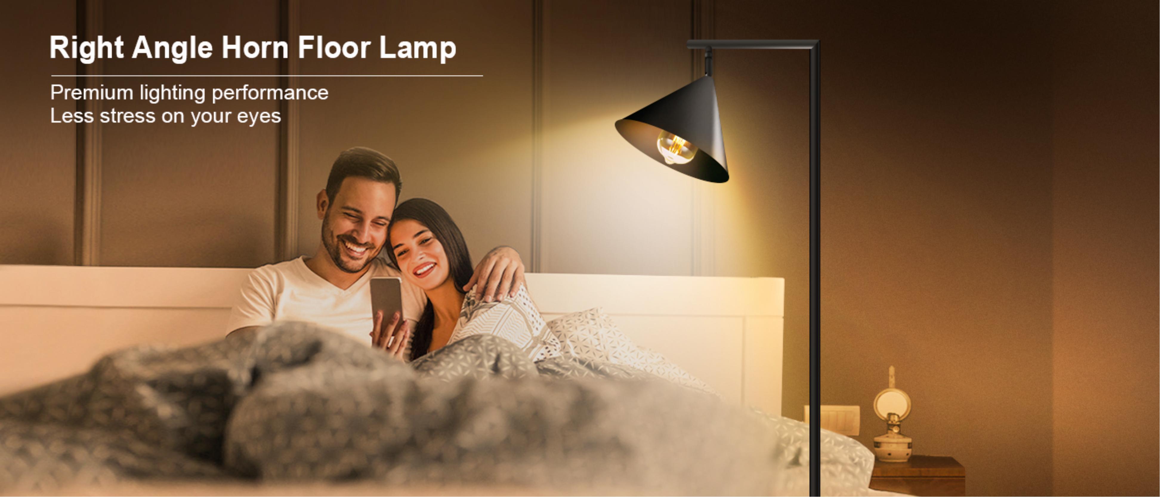 Floor lamp，Cross-border，Atmosphere lamp，New products，Horn floor lamp，Reading lamp，