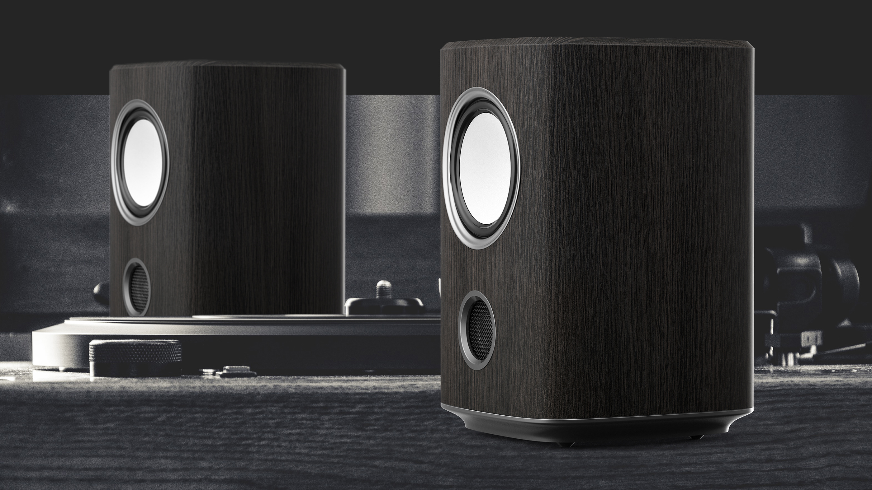 Log，loudspeaker box，DDG，