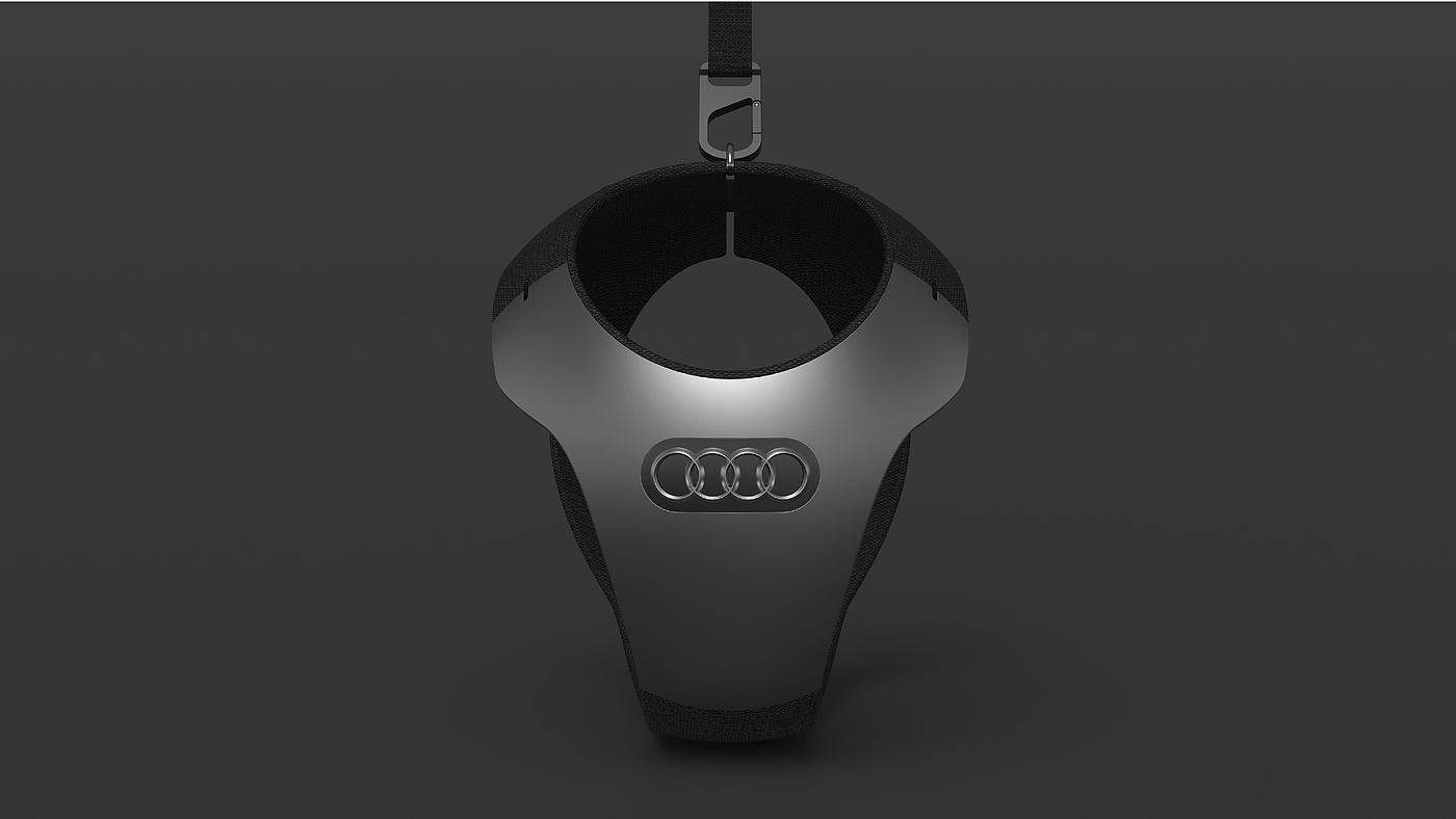 Emotionalization，dog，audi，