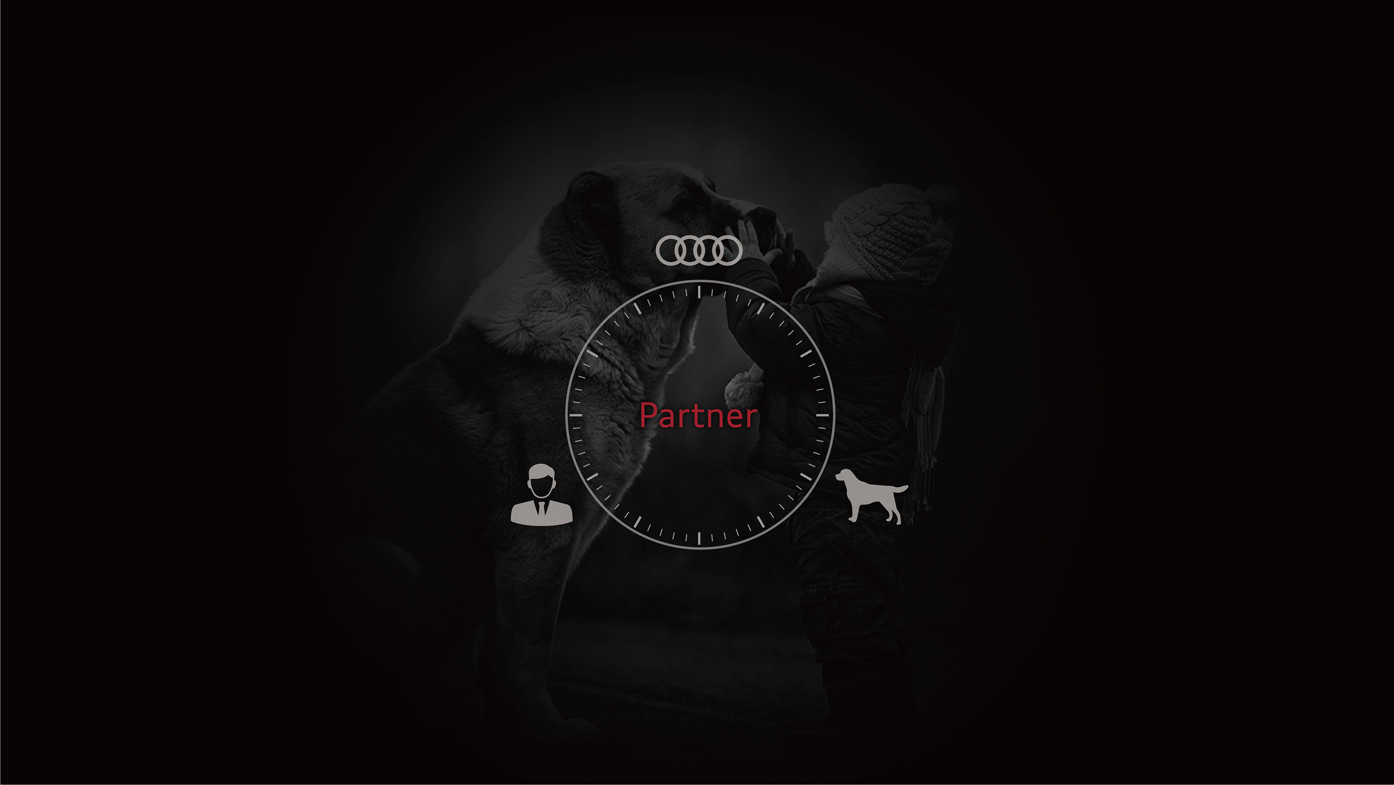 Emotionalization，dog，audi，