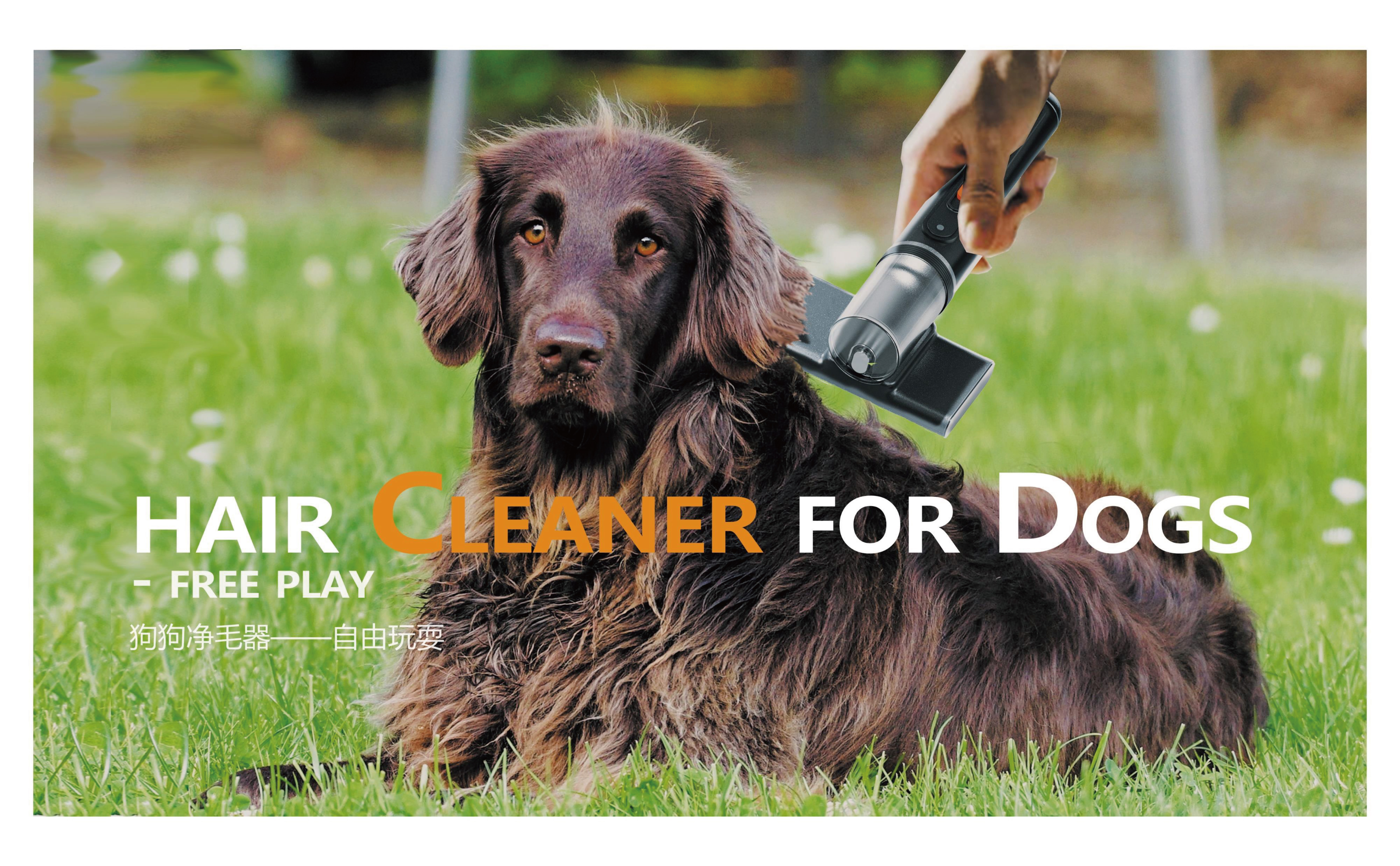 Personal works collection，