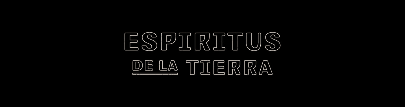 Bottle body design，Mescal wine，traditional nature，sense of modernity，