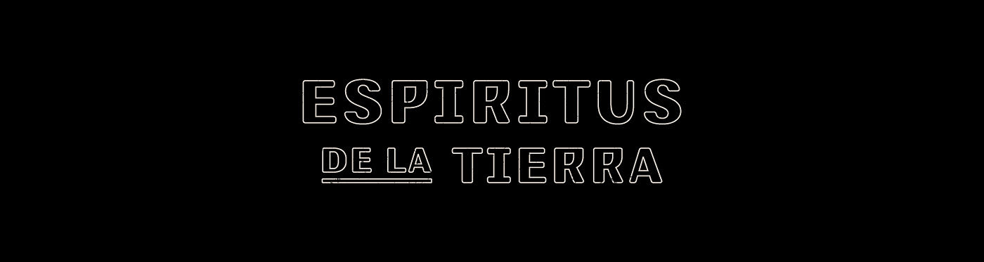 Bottle body design，Mescal wine，traditional nature，sense of modernity，