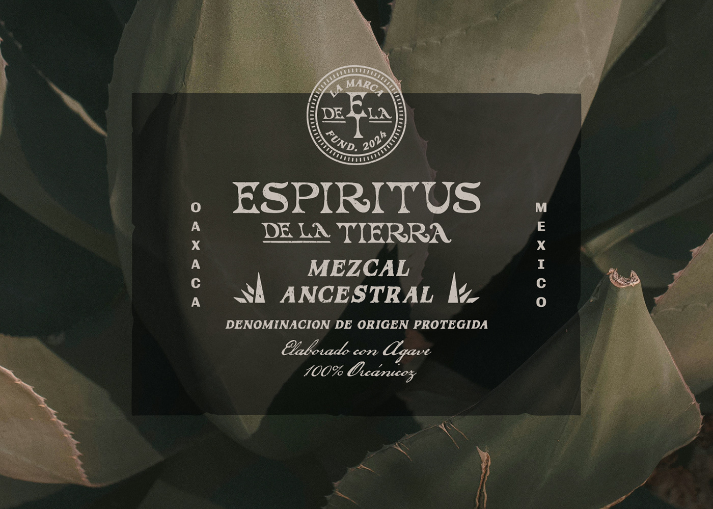 Bottle body design，Mescal wine，traditional nature，sense of modernity，