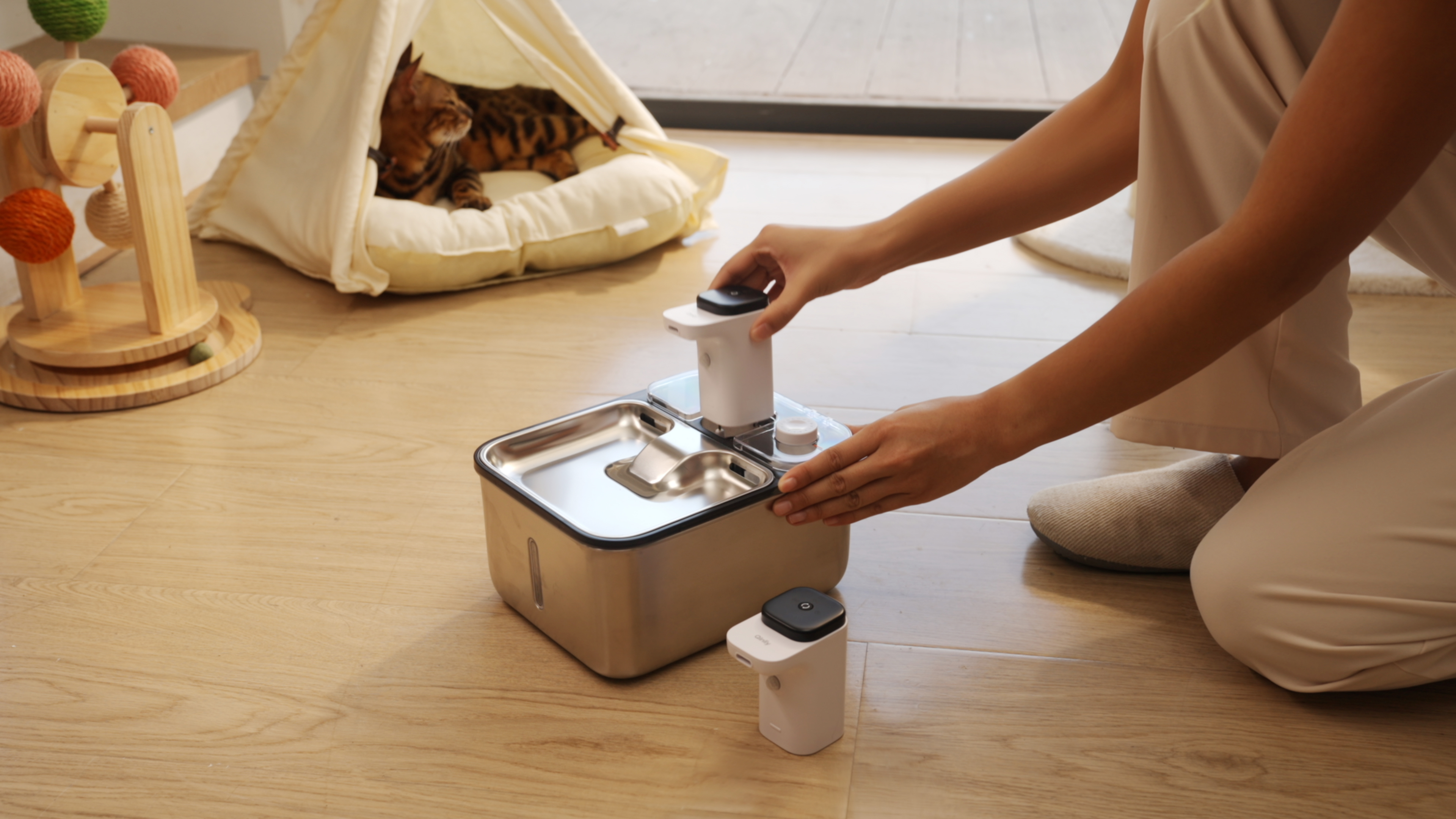 Thought design，Pet water dispenser，Pet Supplies & Pet，