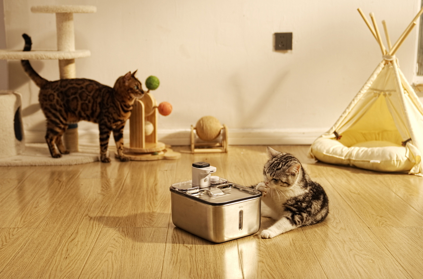 Thought design，Pet water dispenser，Pet Supplies & Pet，