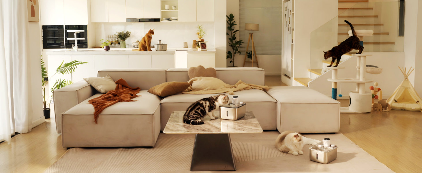 Thought design，Pet water dispenser，Pet Supplies & Pet，