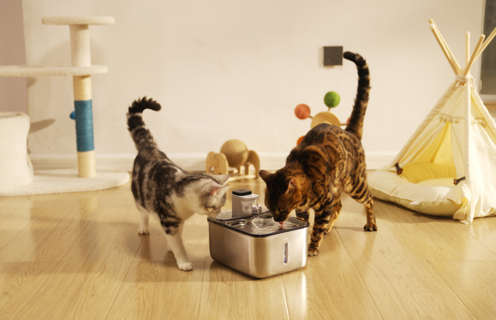 Thought design，Pet water dispenser，Pet Supplies & Pet，